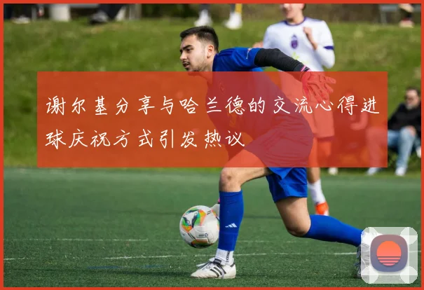 谢尔基分享与哈兰德的交流心得进球庆祝方式引发热议