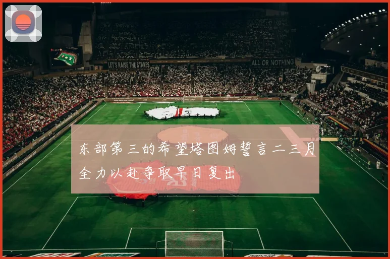 东部第三的希望塔图姆誓言二三月全力以赴争取早日复出