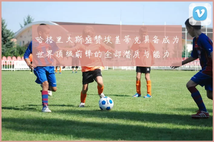 哈格里夫斯盛赞埃基蒂克具备成为世界顶级前锋的全部潜质与能力